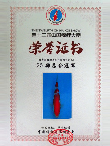 25部总合冠军