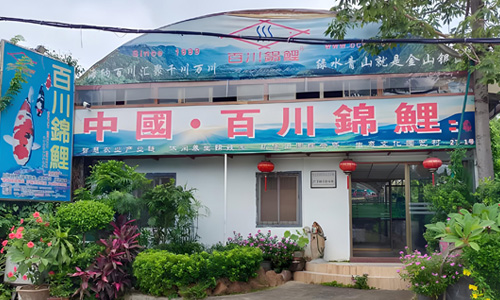 百川锦鲤